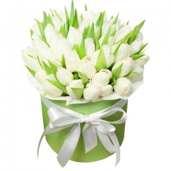 Букет из 45 белых тюльпанов в коробке
