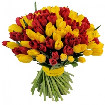 Букет MIX из 101 красного и желтого тюльпана