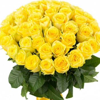 Букет из 45 желтых роз