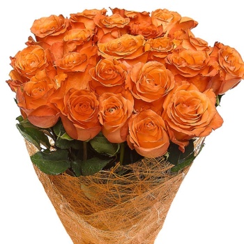 Букет из 31 оранжевой розы