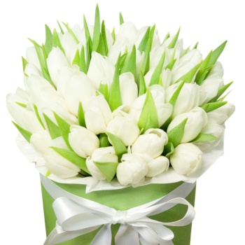 Букет из 45 белых тюльпанов в коробке