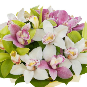 Букет MIX из 15 орхидей