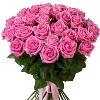 Букет из 55 розовых роз