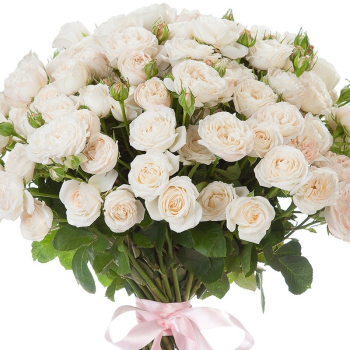 Букет из 21 белой кустовой розы