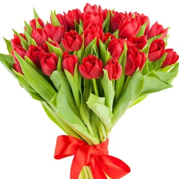 Букет из 29 красных тюльпанов
