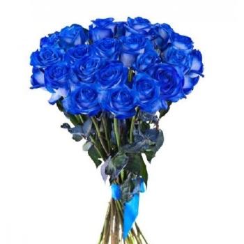 Букет из 27 синих роз